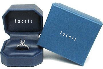 FACETS Engagement Ring Setting Platinum 12 Princess Cut Diamonds, 0.66ct. tw.  Diamond Mounting