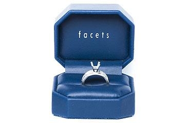 THE FACETS DUO Diamond Ring Mounting Set, Platinum 25 Princess Cut Diamonds, 1.41ct. tw.