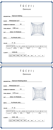THE FACETS DUO Diamond Ring Mounting Set, Platinum 25 Princess Cut Diamonds, 1.41ct. tw.