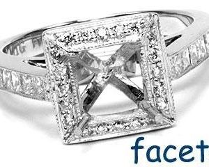 FACETS Engagement Ring Setting Platinum 10 Princess Cut & 20 Round Cut Diamonds, 0.62ct. tw. G-H color VVS-VS clarity Diamond Mounting