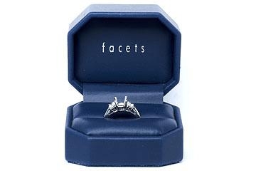 FACETS Engagement Ring Setting Platinum 2 Round Cut Diamond 0.50ct Mounting