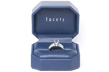THE FACETS DUO Diamond Ring Mounting Set, Platinum 17 Round Cut Diamonds, 0.85ct. tw.