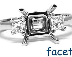 FACETS Engagement Ring Setting Platinum 2 Princess Cut Diamond 0.35ct Mounting