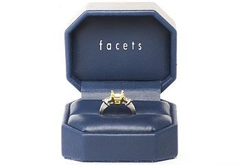 FACETS Engagement Ring Setting Platinum 2 Shield Cut Diamond 0.60ct Mounting